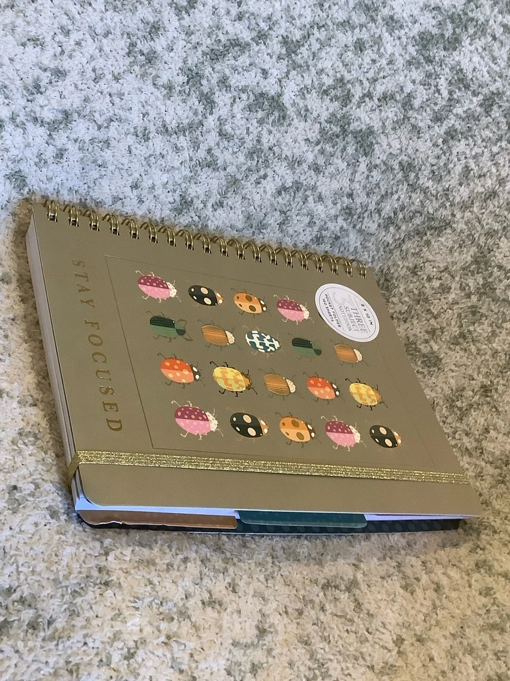 Stay Focused Spiral 3 Subject Notebook with Colorful Bug Design NWT 160pgs 8x10”